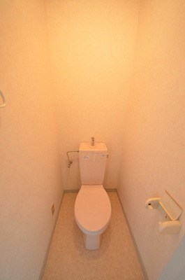 Toilet. ☆ Loose your toilet ☆