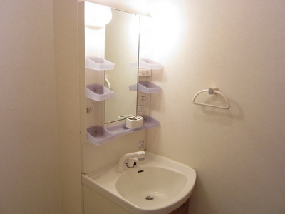 Washroom. Beautiful independent wash basin