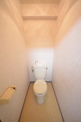 Toilet. ☆ Clean toilet ☆