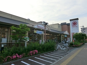 Supermarket. 290m until Peacock (super)