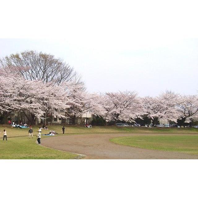 park. 1331m to Showa Park