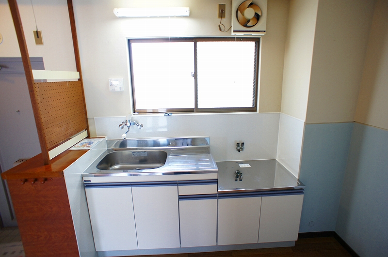 Kitchen. Kitchen single lever