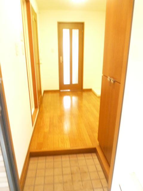 Entrance. ☆ You can clean storage because the front door there is a shoe box ☆