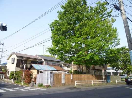 Local land photo. appearance