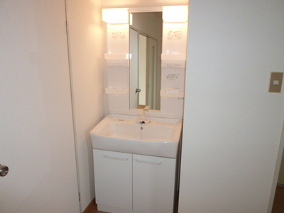 Washroom. Wash basin