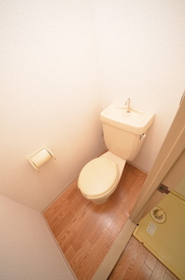 Toilet. ☆ Loose your toilet ☆