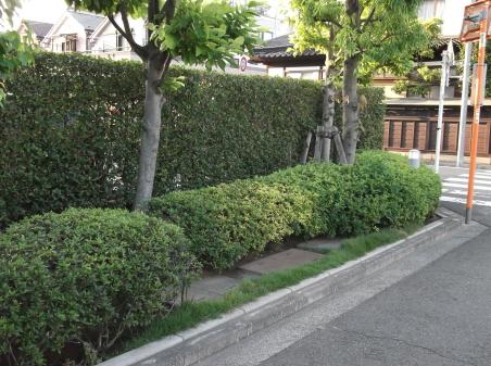 Other common areas. Common areas