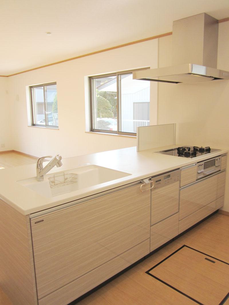 Kitchen. Indoor (12 May 2013) Shooting