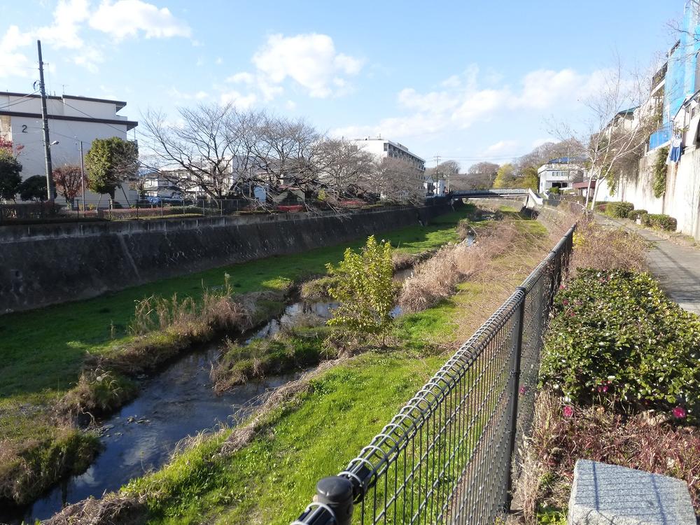 Other local. South photo