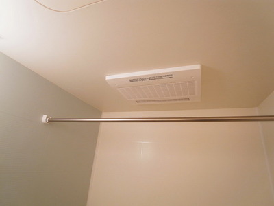 Other.  ☆ The photograph is an image ☆ 