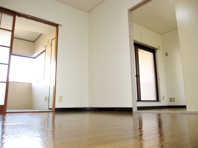 Living and room. Living