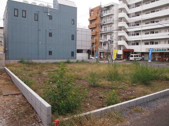 Local land photo. Local Photos