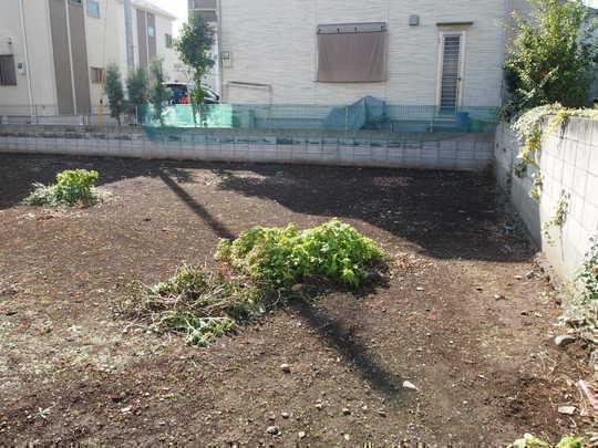 Local land photo. Local Photos