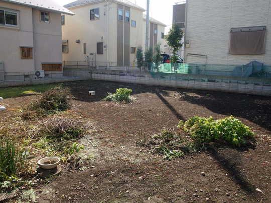 Local land photo. Local Photos