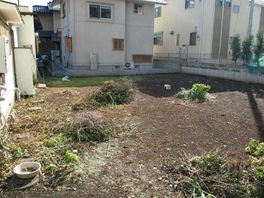 Local land photo. Local Photos