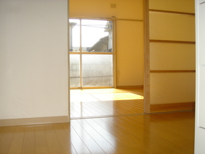 Living and room. The room from the front door