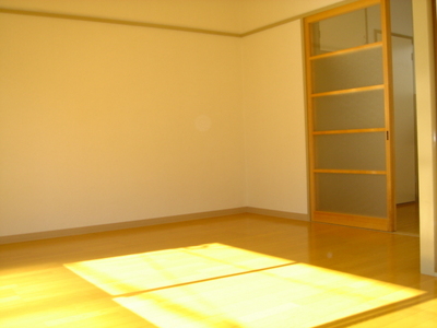 Living and room. The whole in the room