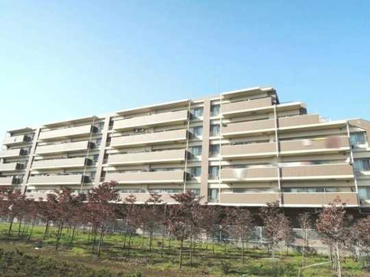 Local appearance photo. appearance