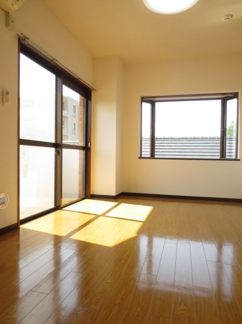 Living and room. A bright room with two-sided lighting