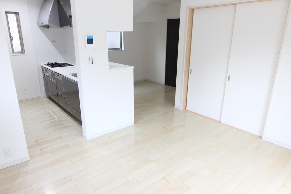 Living. Indoor (10 May 2013) Shooting