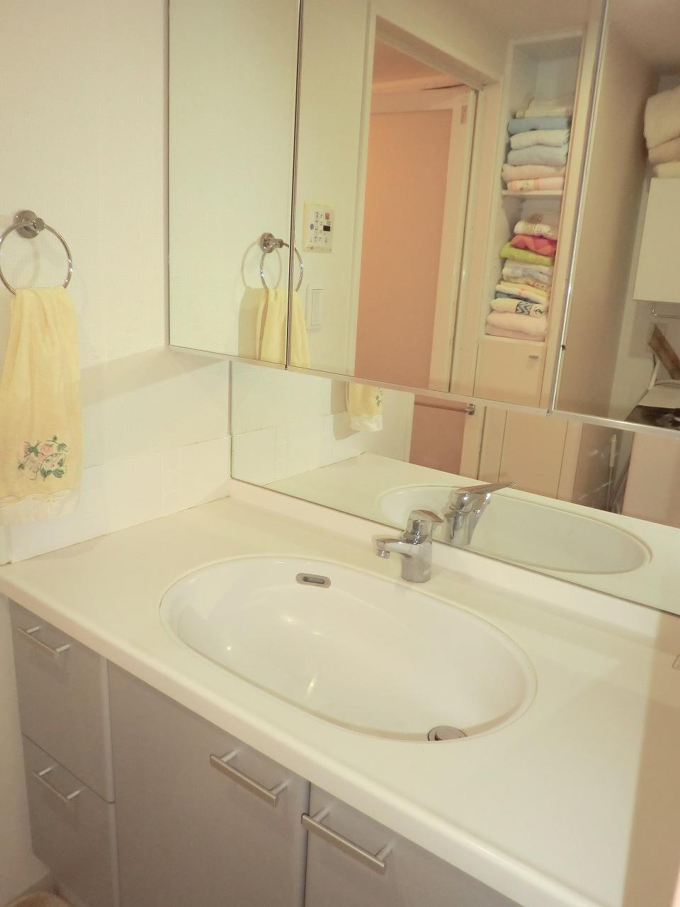 Wash basin, toilet. Indoor (September 2013) Shooting