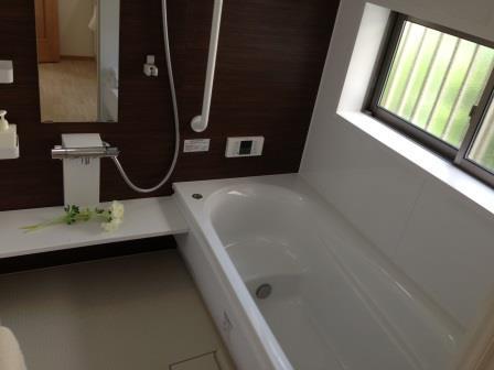 Same specifications photo (bathroom). Our example of construction (bathroom)