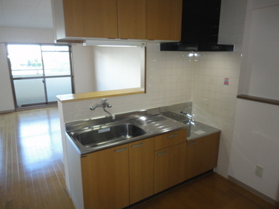 Kitchen. Face-to-face kitchen