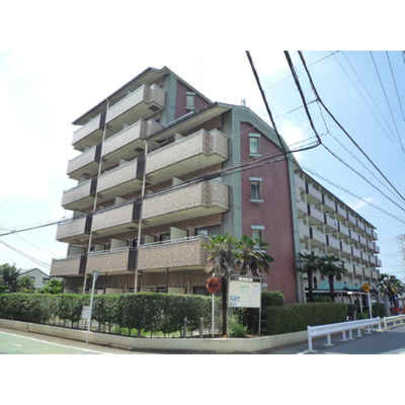 Local appearance photo. Local Photos