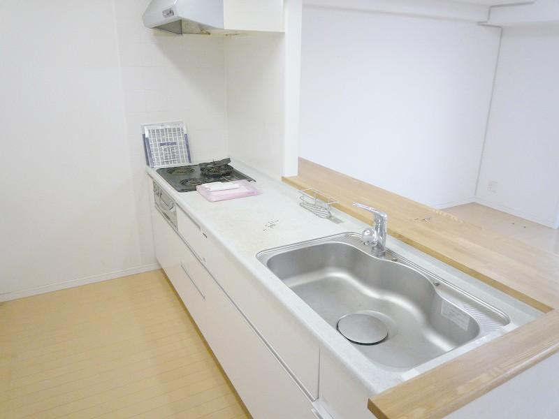 Kitchen. Counter type of system Kitchen