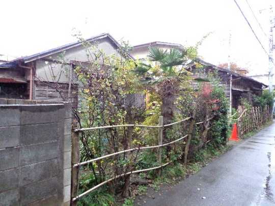 Local land photo. appearance