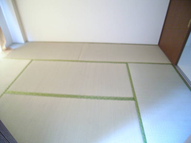 Living and room. Living