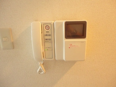 Security. Monitor with intercom