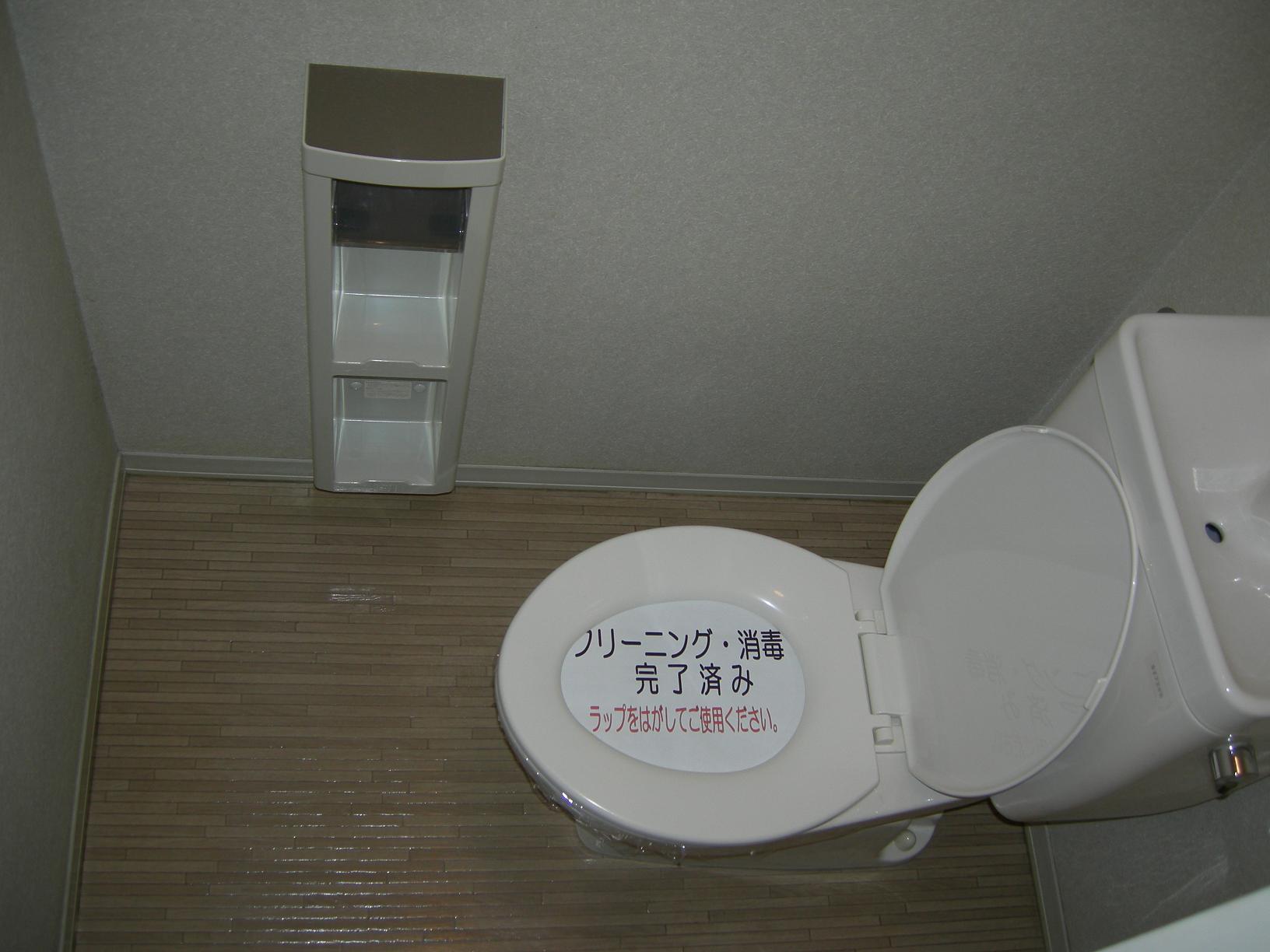 Toilet. Separated toilet Washing ending.