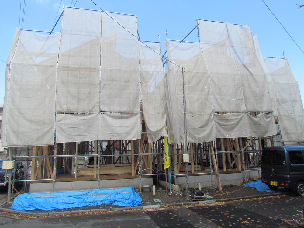 Local appearance photo. ● positive per well per south road