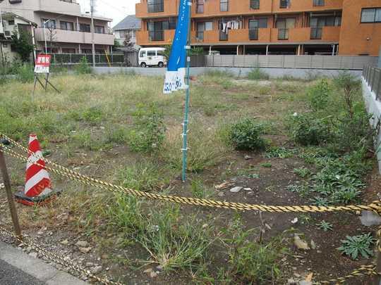 Local land photo. Local Photos