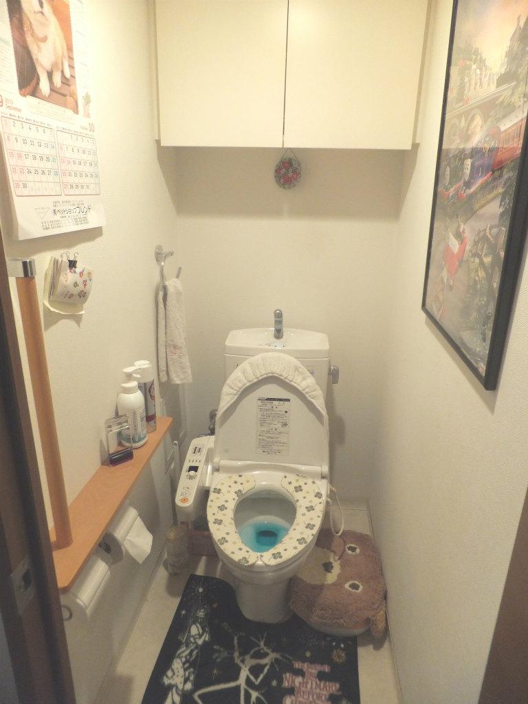 Toilet. Indoor (September 2013) Shooting