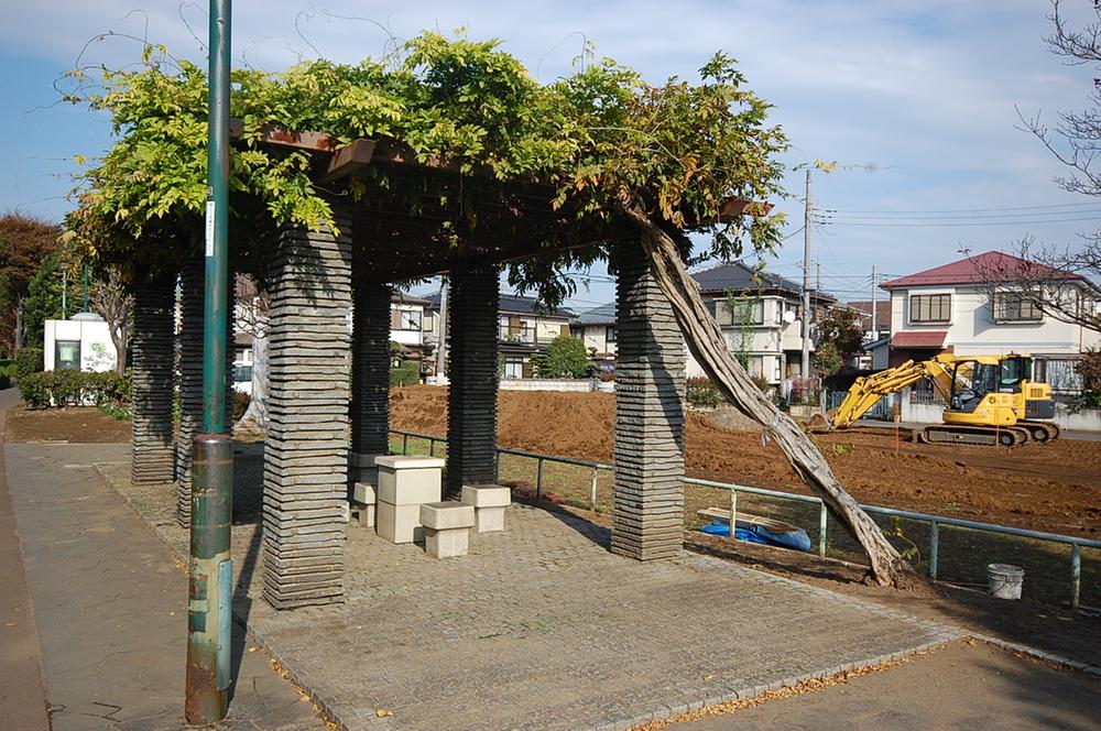 Other local. Peripheral