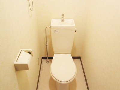Toilet. ☆ Your toilet ☆