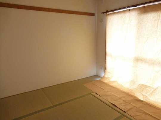 Other introspection. Japanese style room