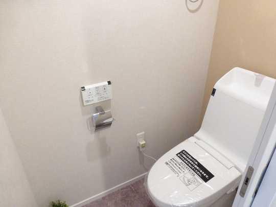 Other introspection. Toilet