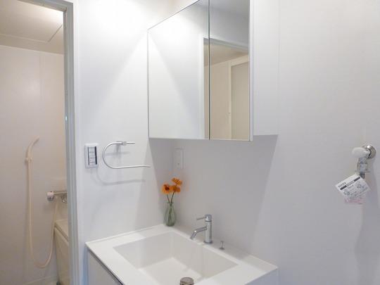 Wash basin, toilet. Wash basin