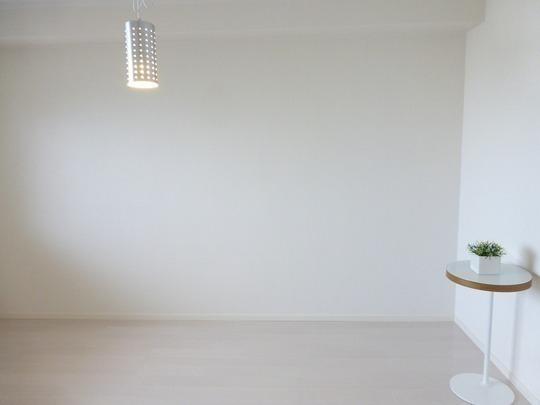 Other introspection. Western style room