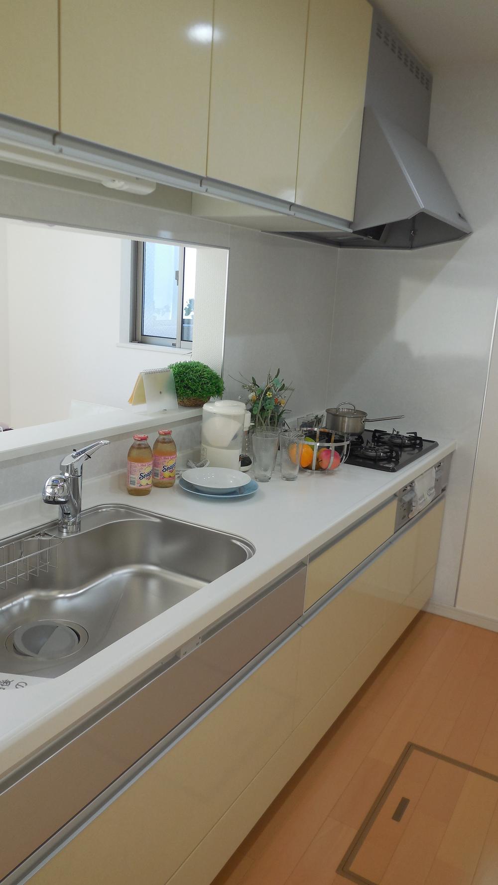 Kitchen. Indoor (12 May 2013) Shooting