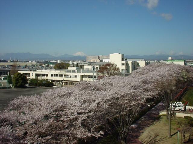 Junior high school. 622m to Tachikawa Municipal Tachikawa sixth junior high school