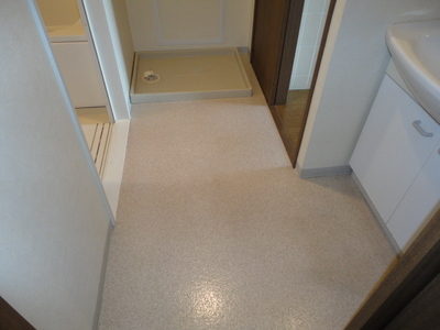 Washroom. Turn from the corridor side and the kitchen side of the dressing room! 