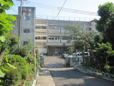 Primary school. Seventh 50m up to elementary school (elementary school)