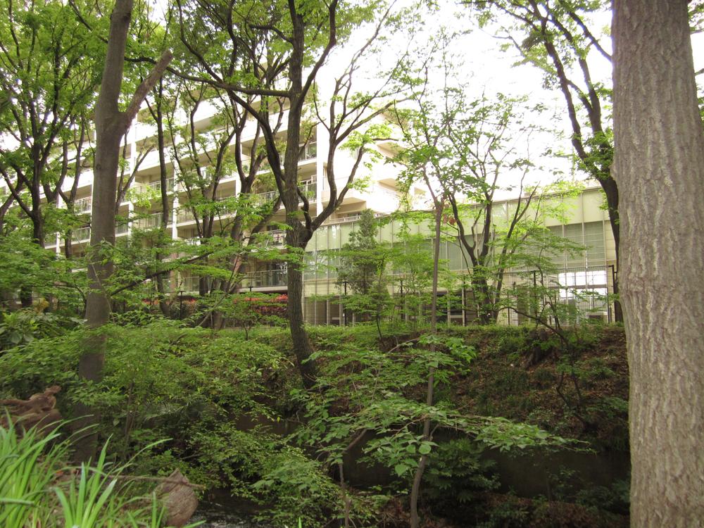 Other local. I felt the Yuku move four seasons.