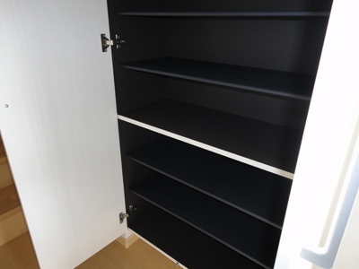 Entrance. Shoebox is abundant storage!