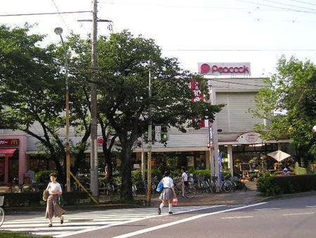 Supermarket. Daimarupikokku National Benten 486m to street