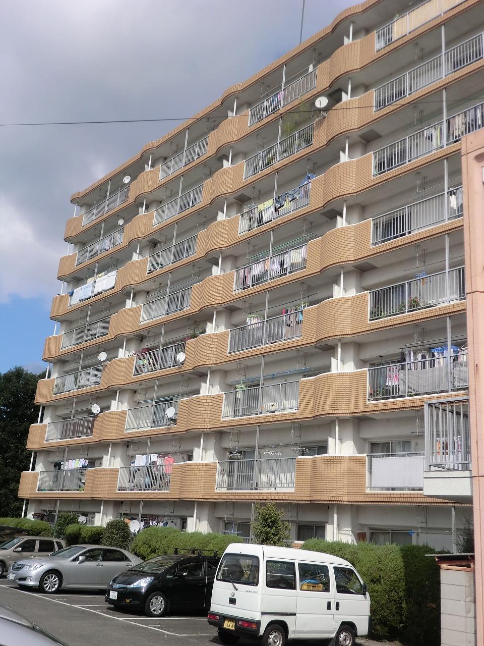 Local appearance photo. Local (10 May 2013) Shooting